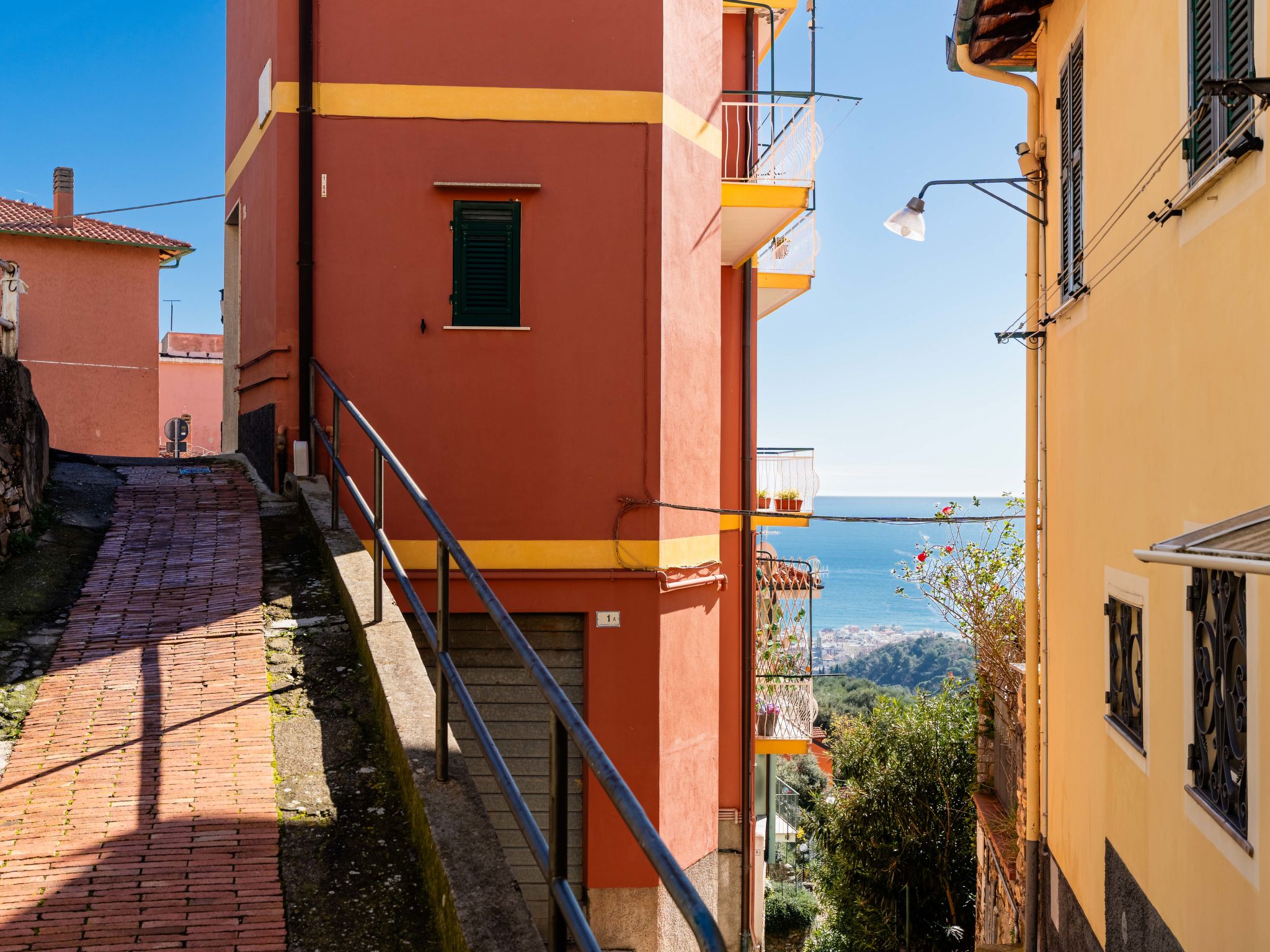 Photo of Terrazza con glicine