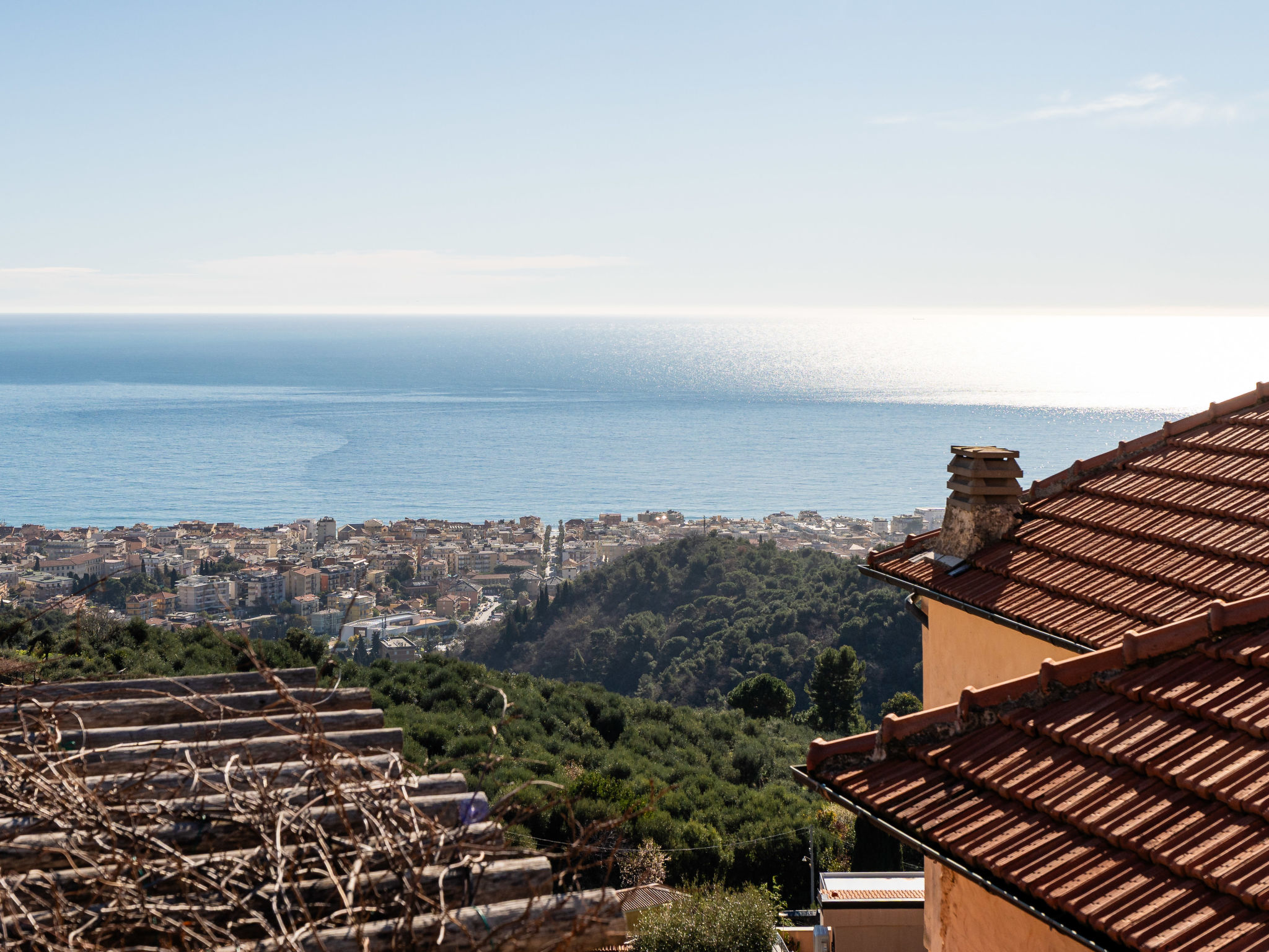 Photo of Terrazza con glicine
