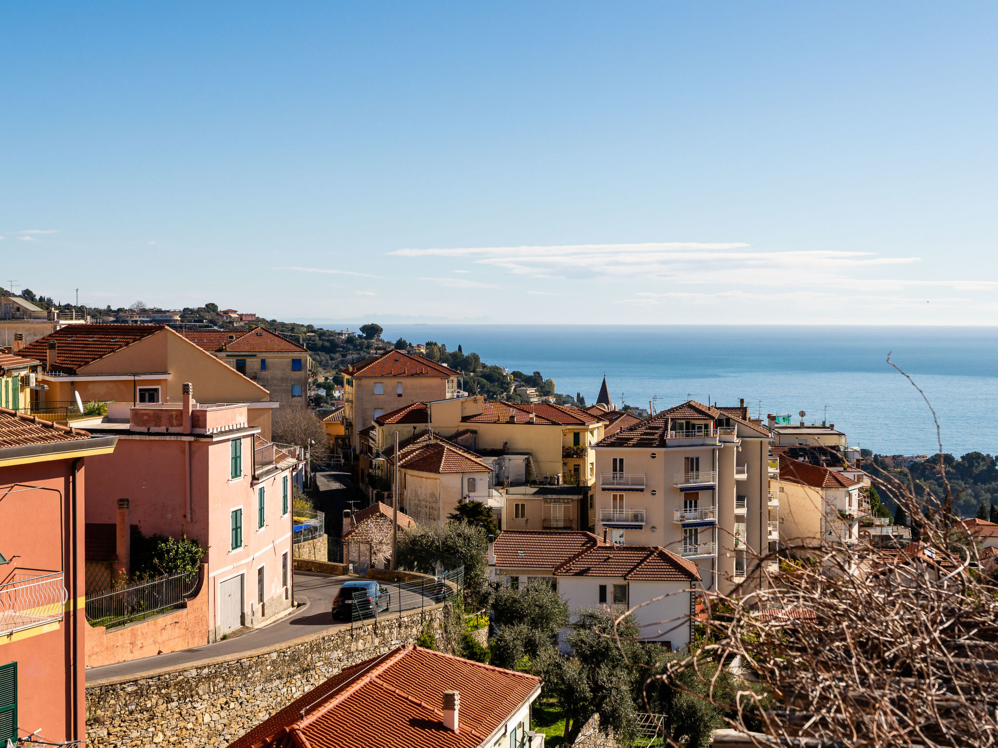 Photo of Terrazza con glicine