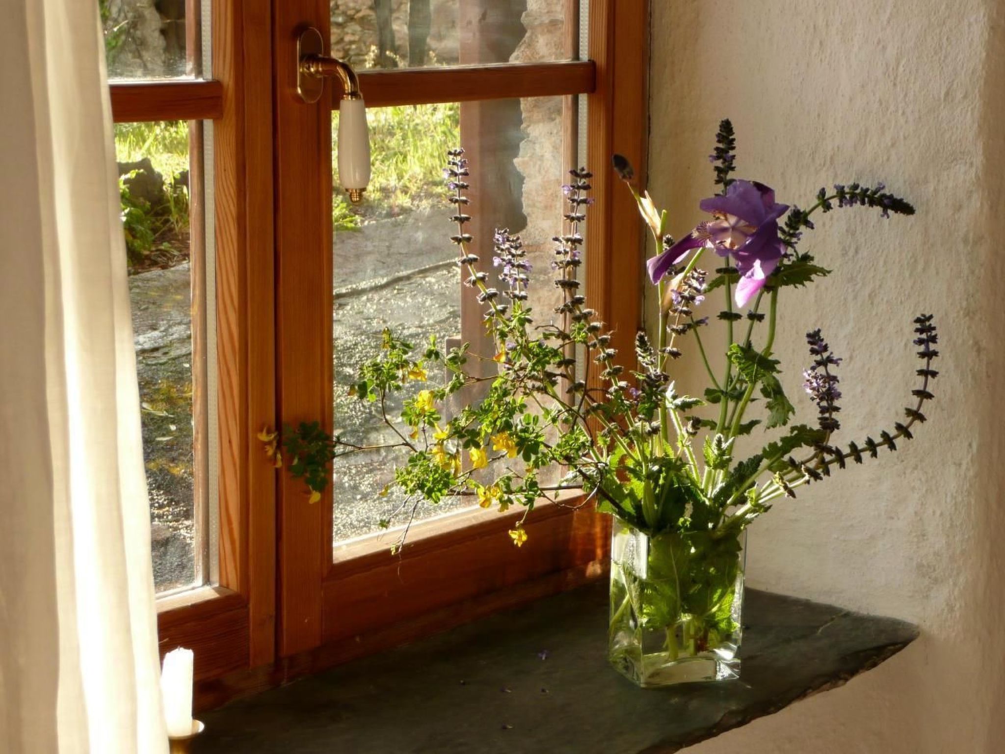 CASA SISSI, Sehnsuchtsort zwischen Olivenhainen-Binnen