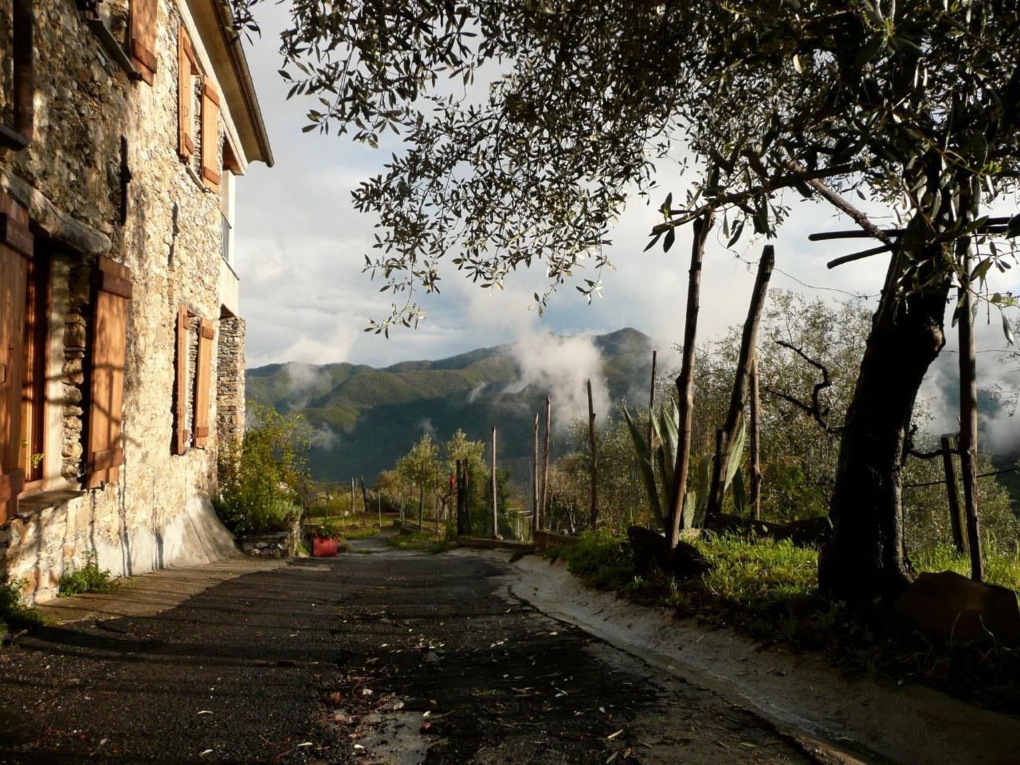 CASA SISSI, Sehnsuchtsort zwischen Olivenhainen-Binnen