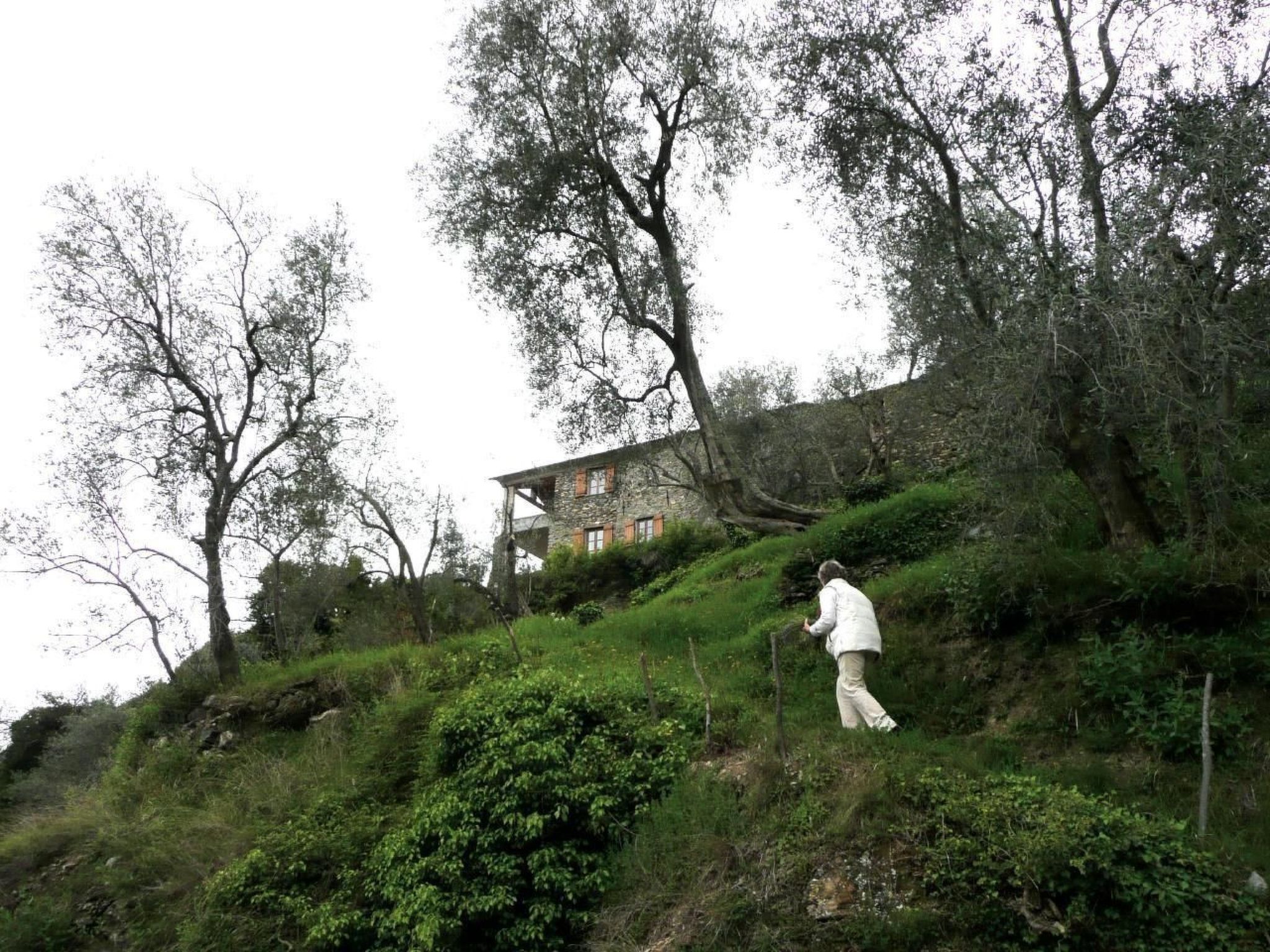 CASA SISSI, Sehnsuchtsort zwischen Olivenhainen-Binnen