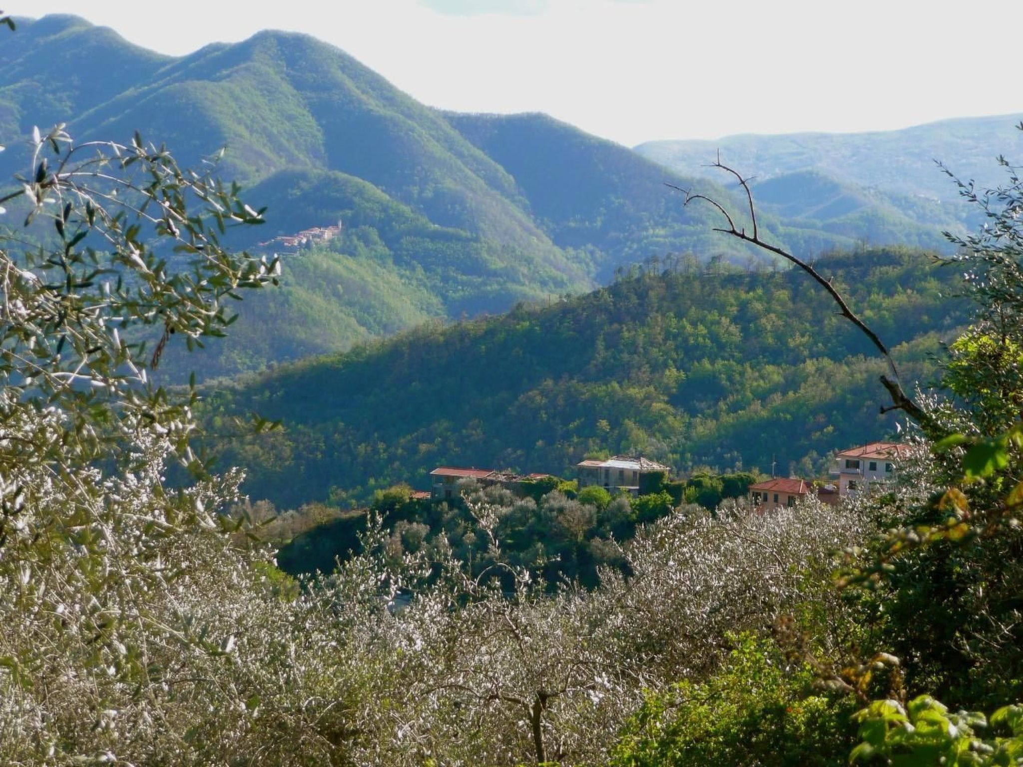CASA SISSI, Sehnsuchtsort zwischen Olivenhainen-Binnen