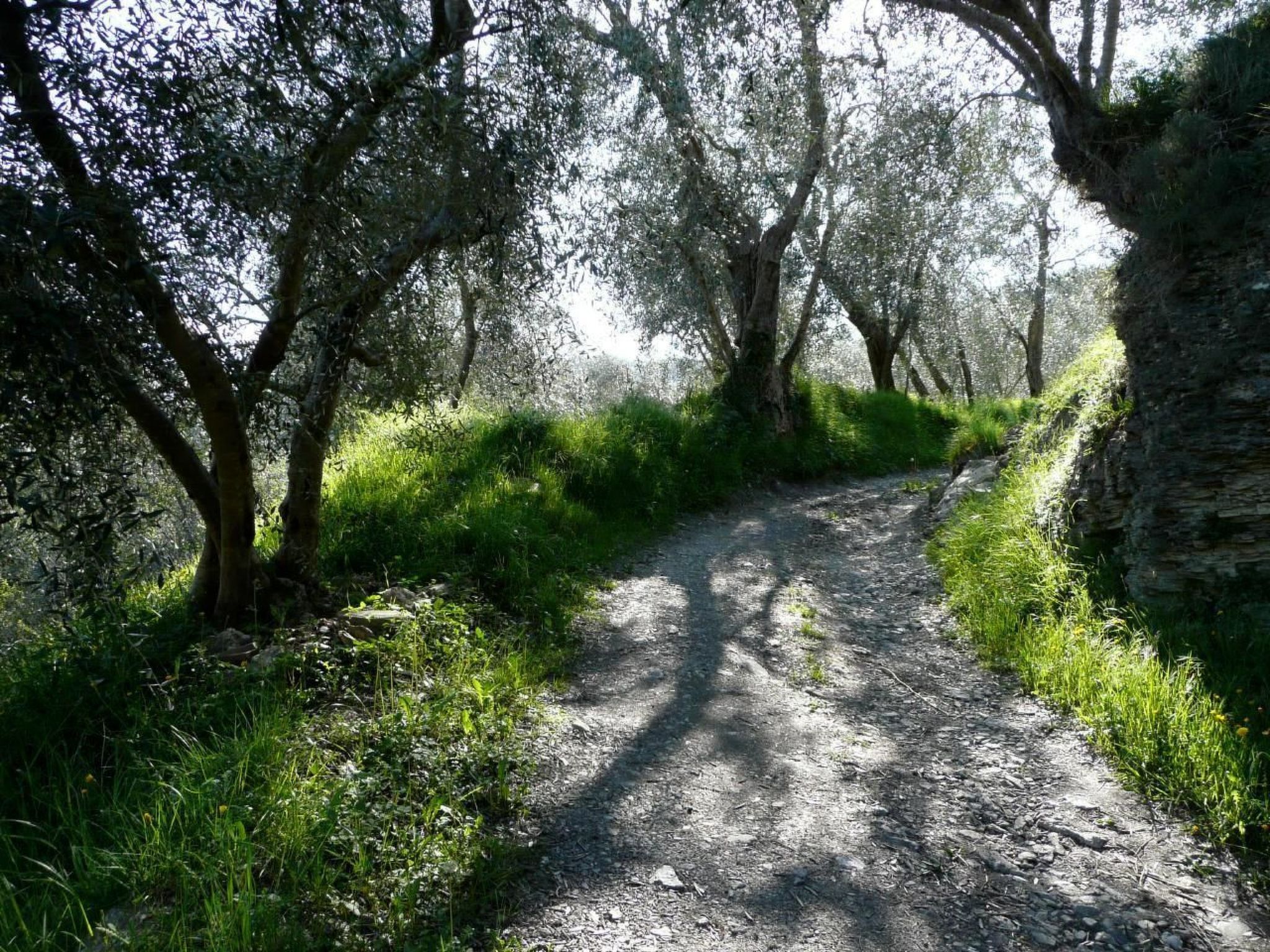 CASA SISSI, Sehnsuchtsort zwischen Olivenhainen-Binnen
