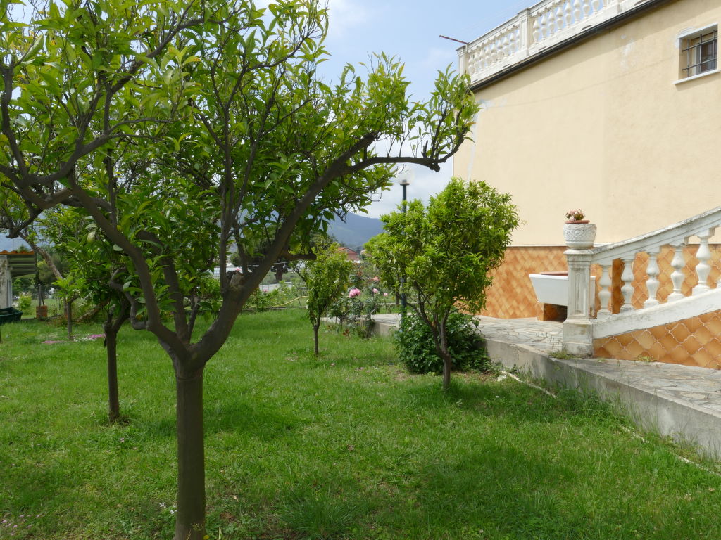 Bild 11