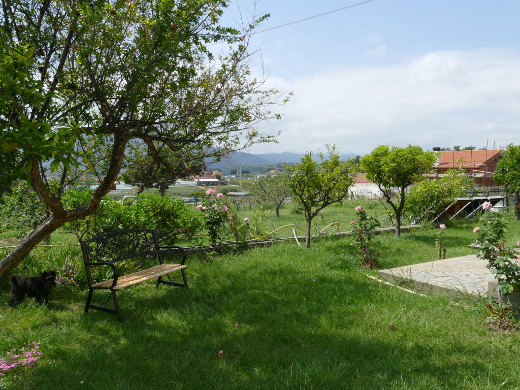 Bild 13