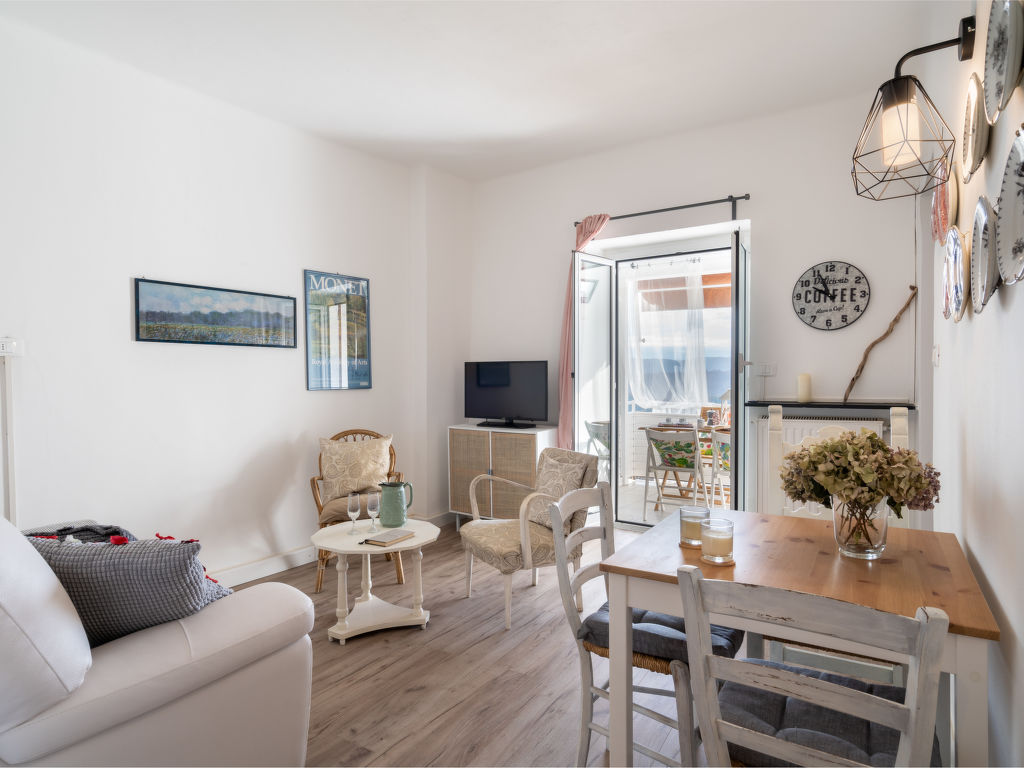 Bouganville & Agapanthus (ASC202)