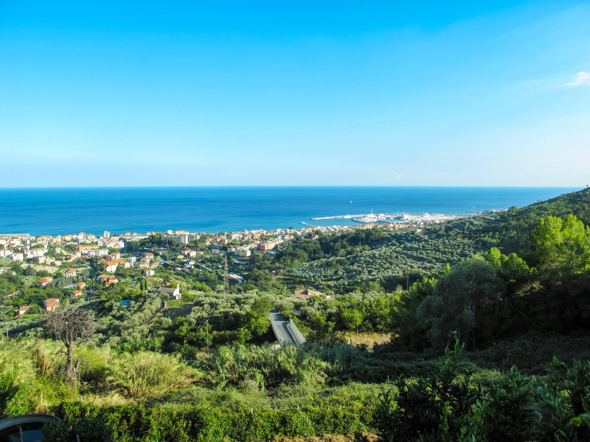View
