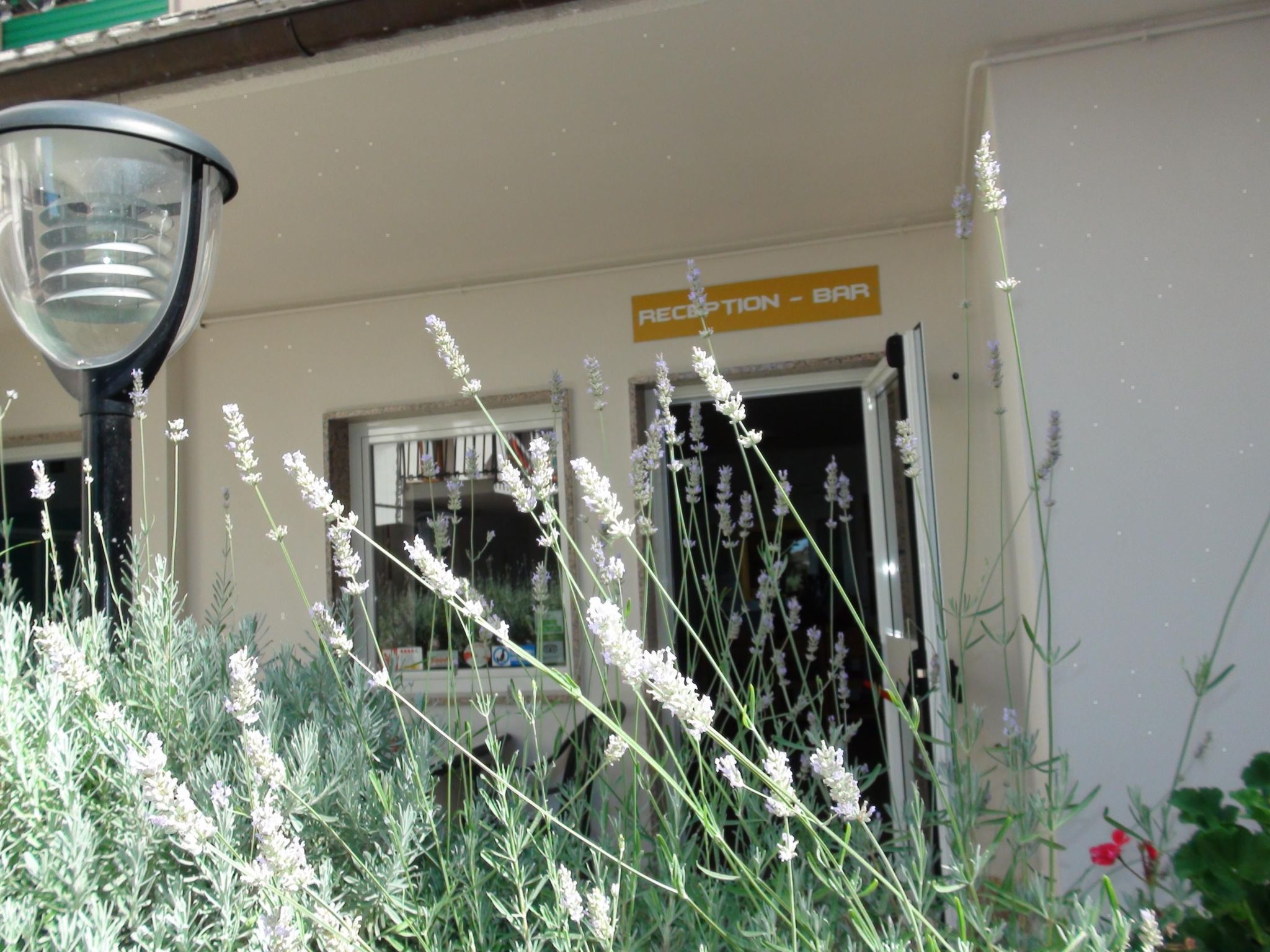 Einzimmerwohnung mit Wasserblick-Binnen