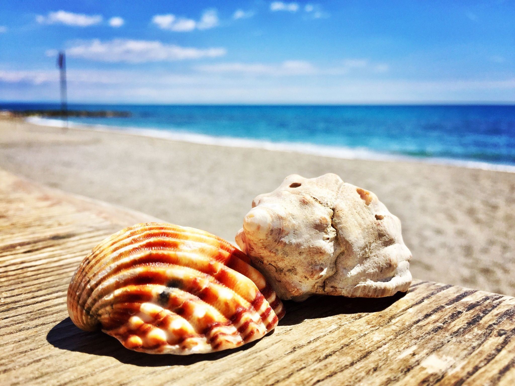 Einzimmerwohnung mit Wasserblick-Binnen