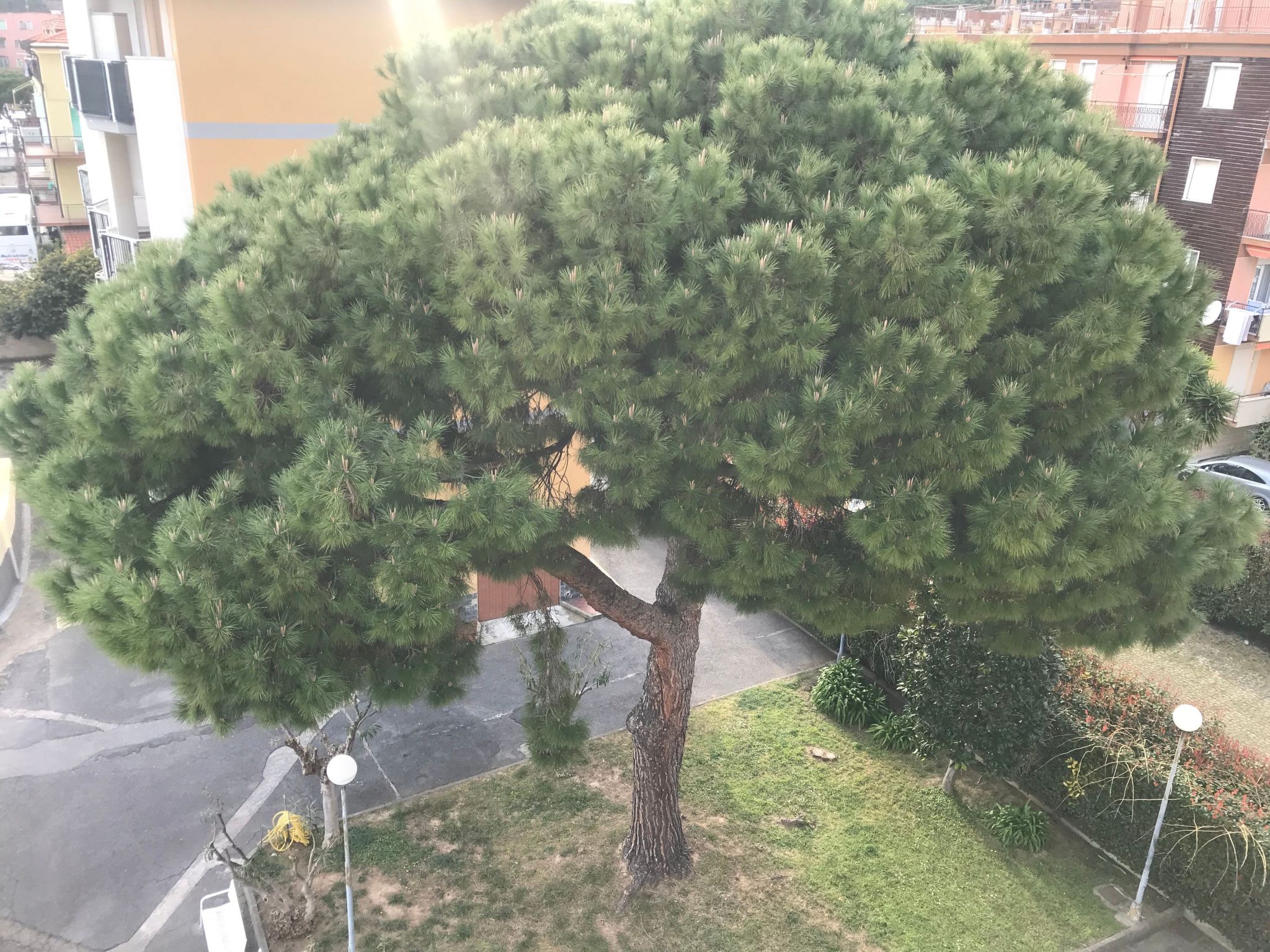 Photo of 'White' mit Balkon