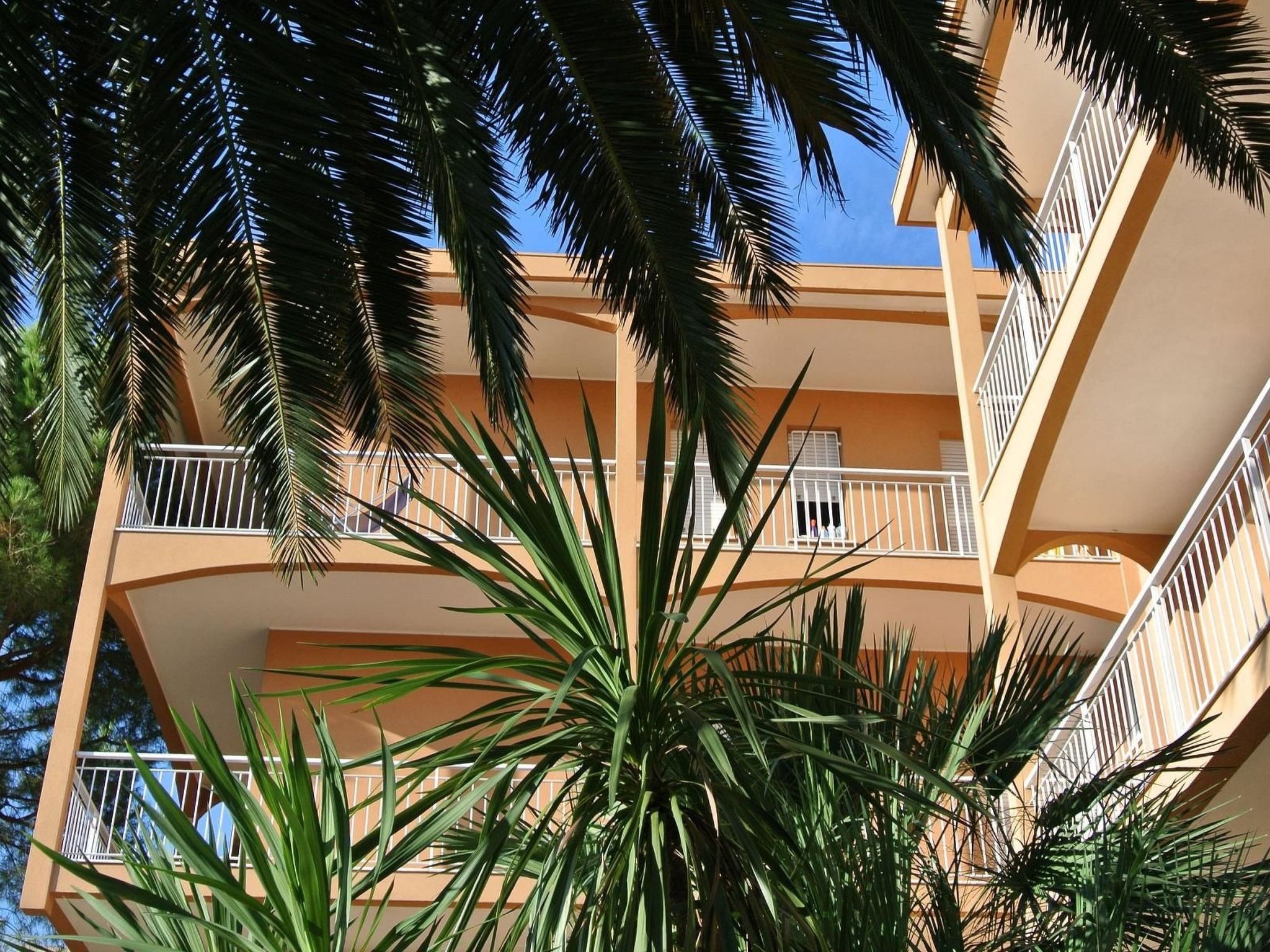 Photo of Wohnanlage Orchidea - Wohnung B 5