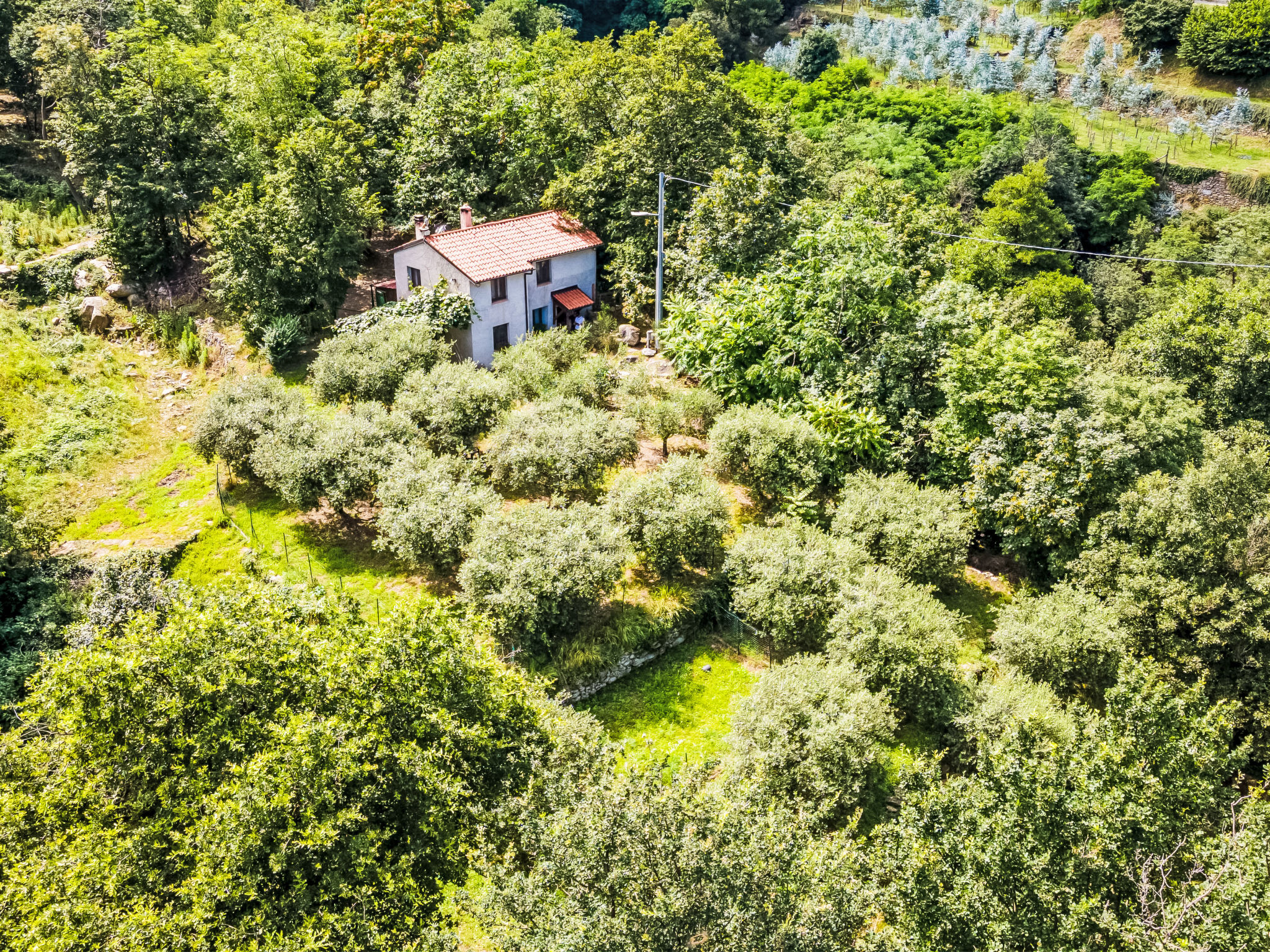 Ferienhaus mit umzäuntem Garten in Rialto (Italien) und 1 Hund erlaubt