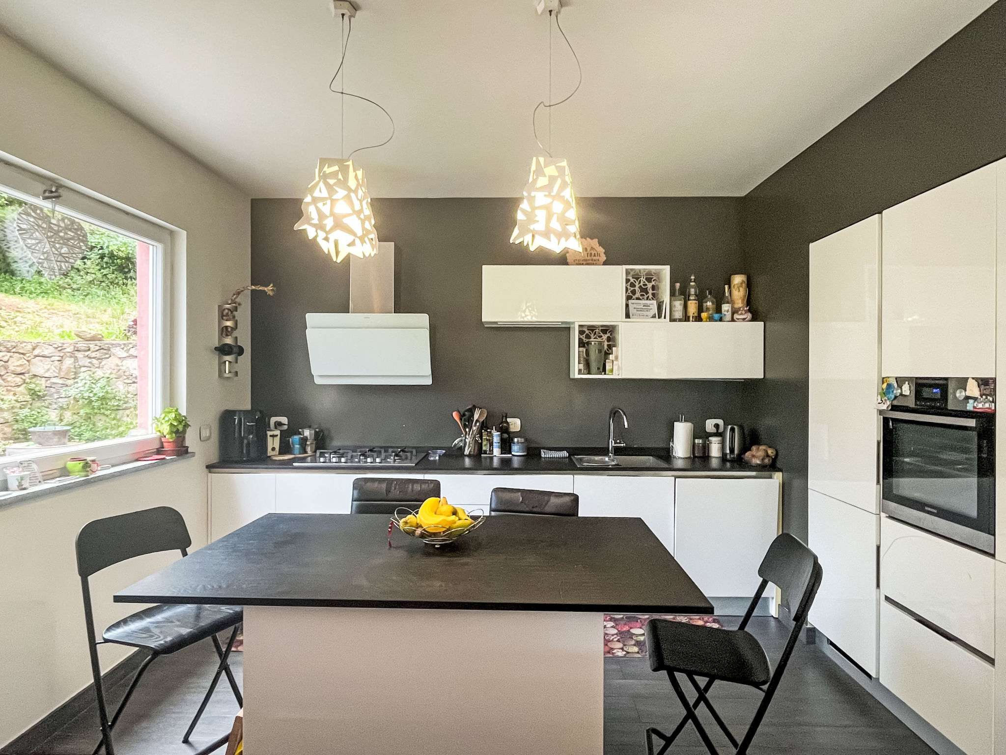 Le radici dell´ulivo