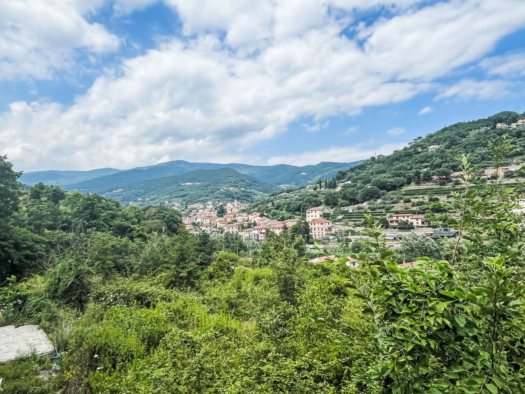 Le radici dell´ulivo-Draußen