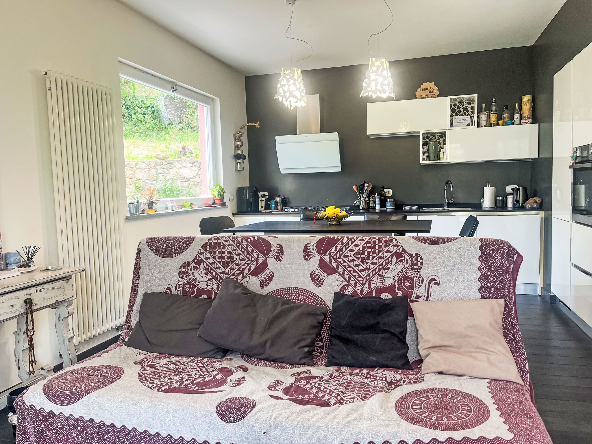 Le radici dell´ulivo