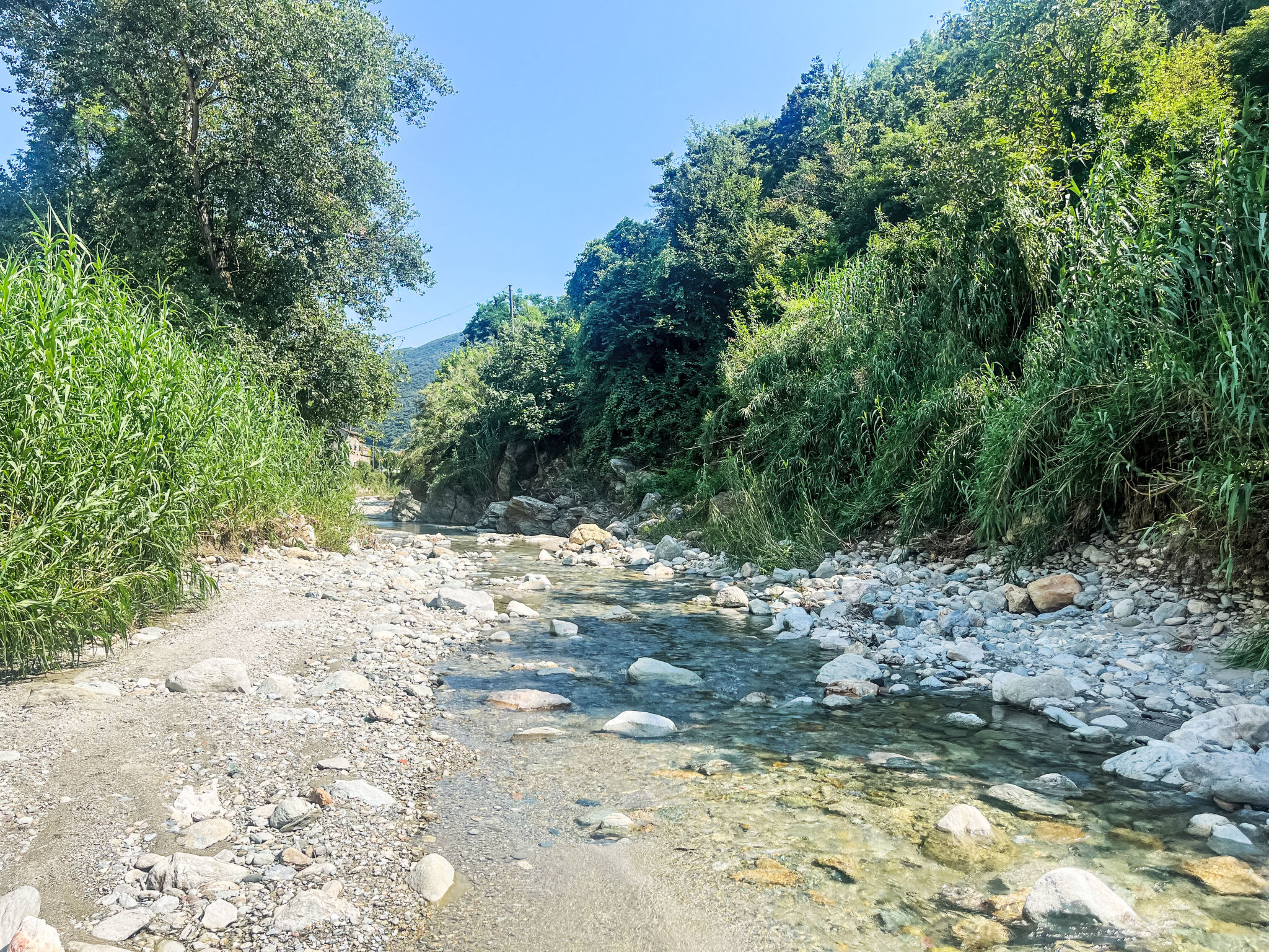 Le radici dell´ulivo-Umgebung