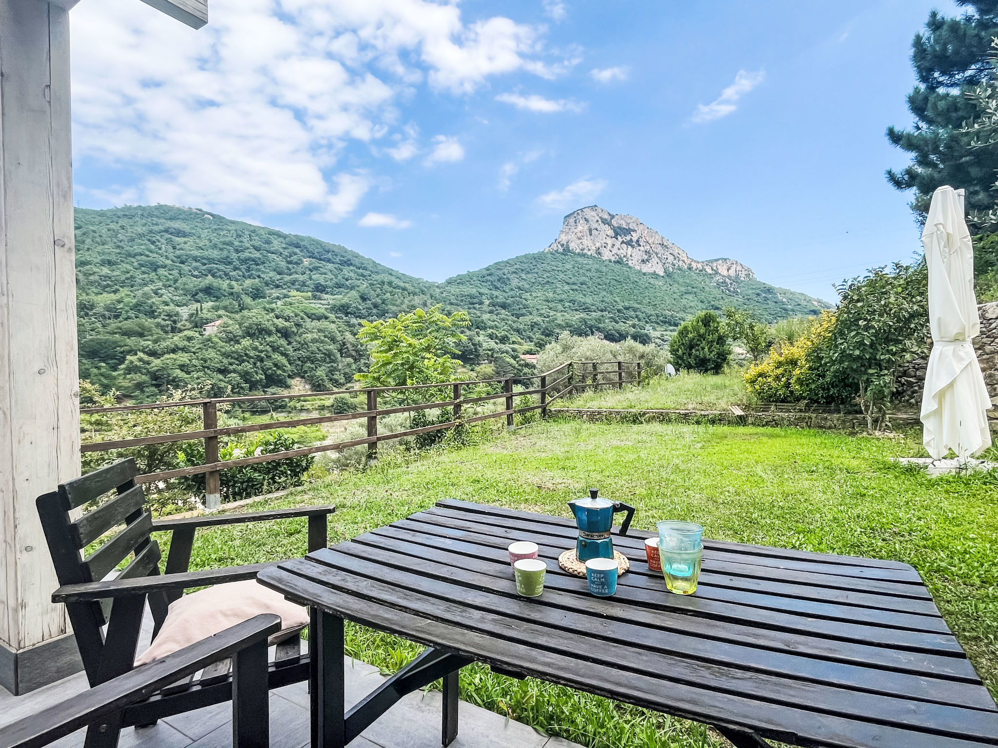 Le radici dell´ulivo-Draußen