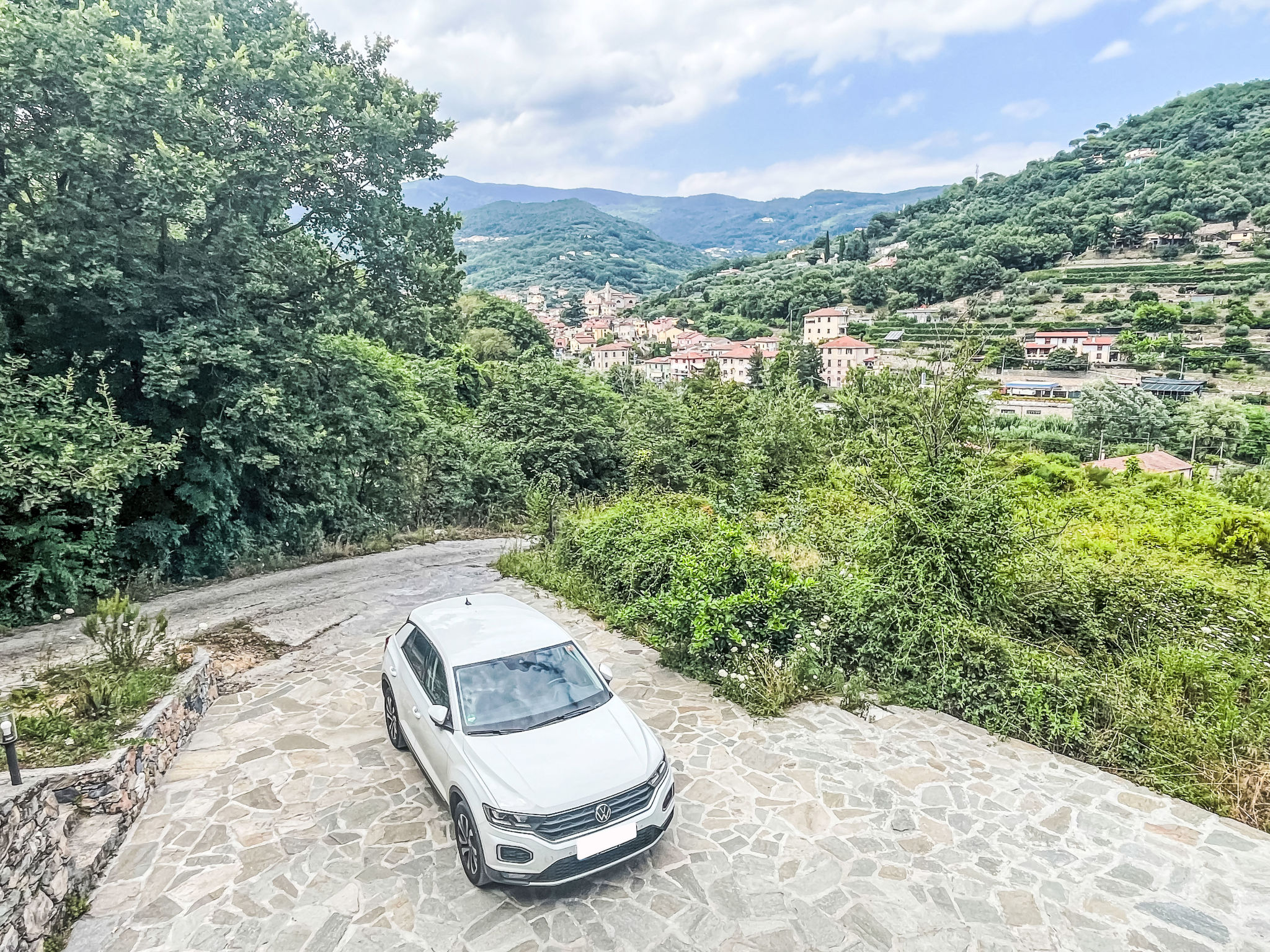 Le radici dell´ulivo-Draußen