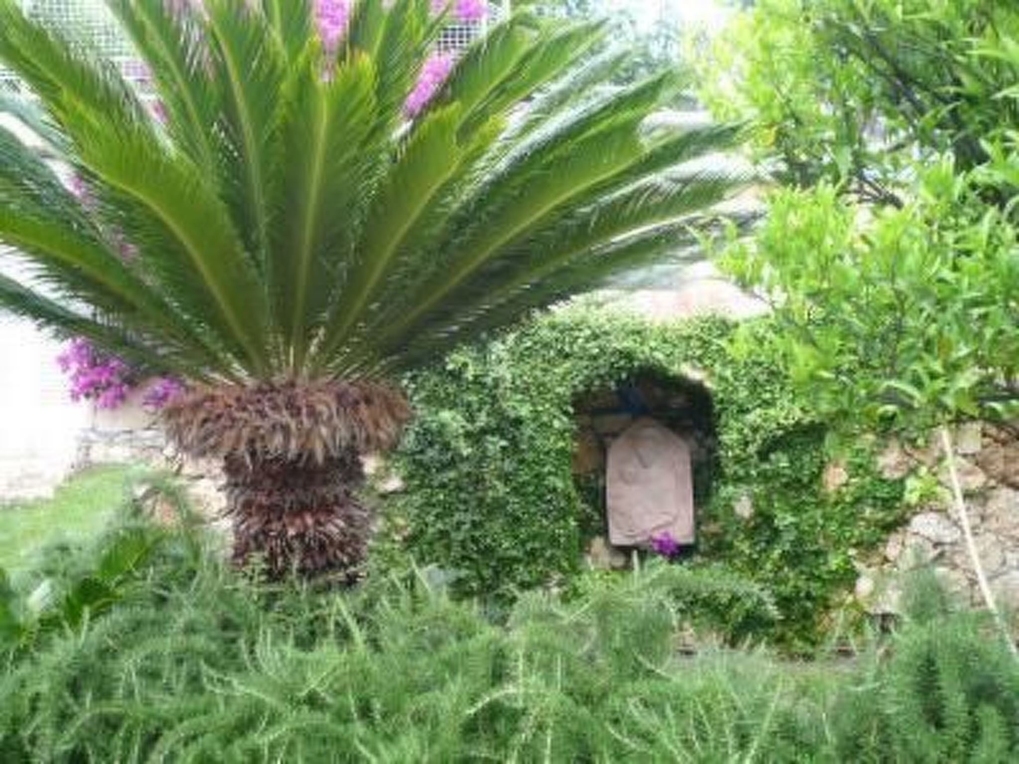 Wohnung mit Parkplatz und Panoramablick-Image-tags.info