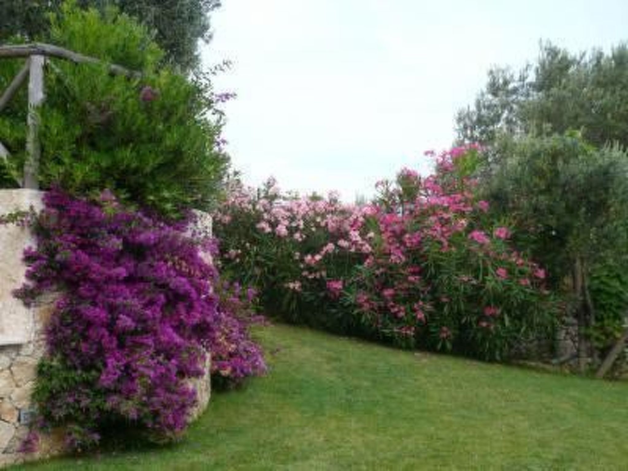 Wohnung mit Parkplatz und Panoramablick