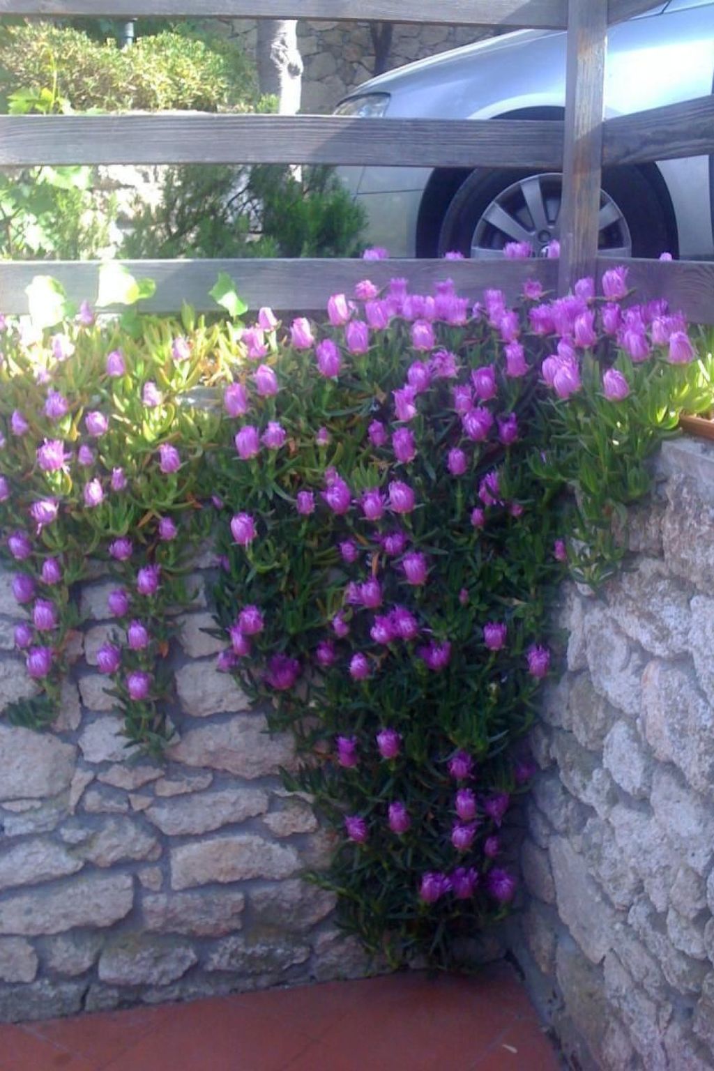 Wohnung mit Parkplatz und Panoramablick-Outside