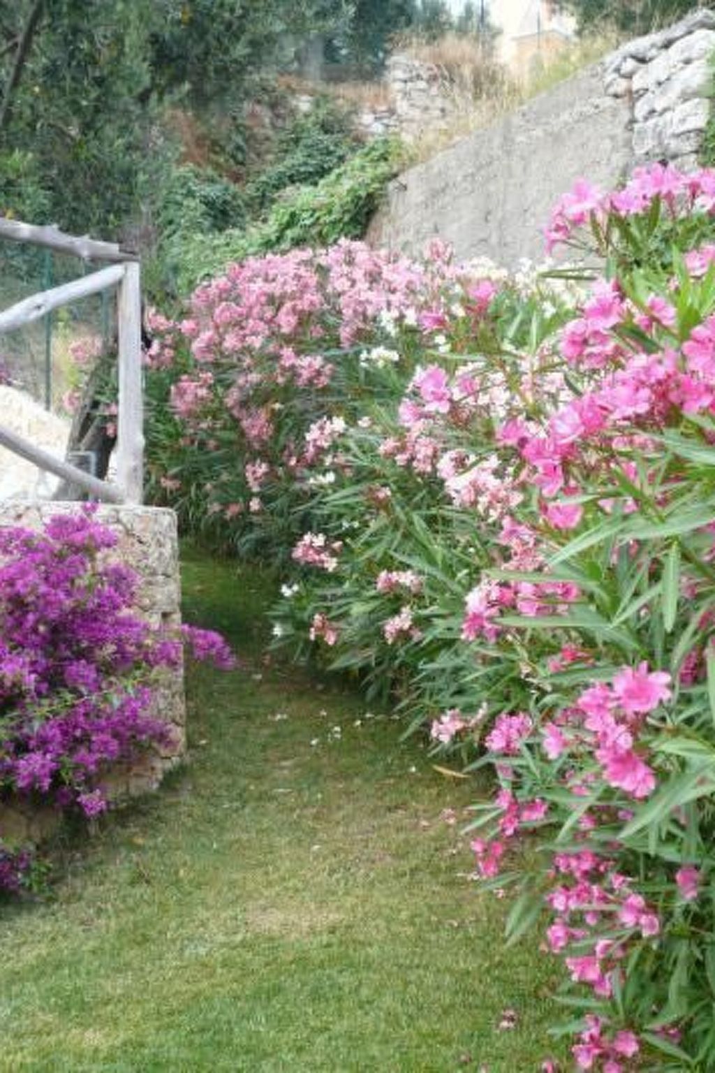 Einzimmerwohnung mit Panoramablick im Erdgeschoss-Image-tags.info