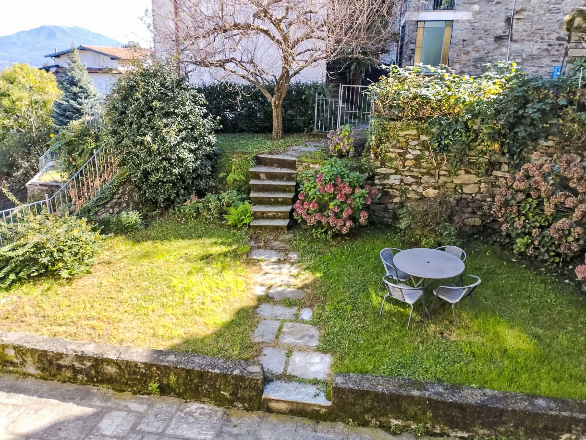 Photo of Delle Ortensie