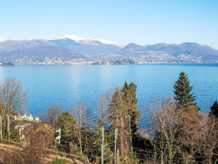Photo of Endine