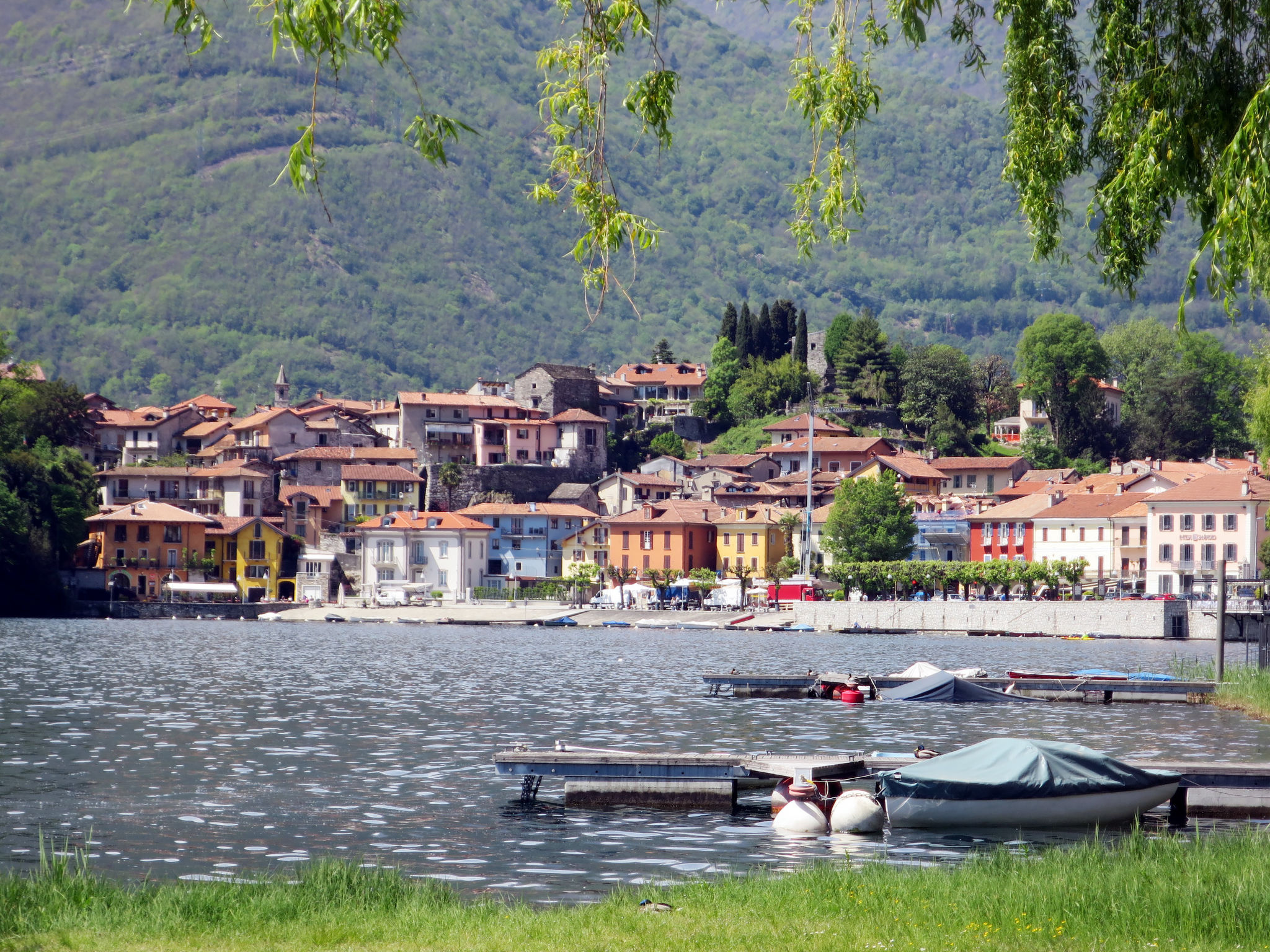 Il Glicine-Area