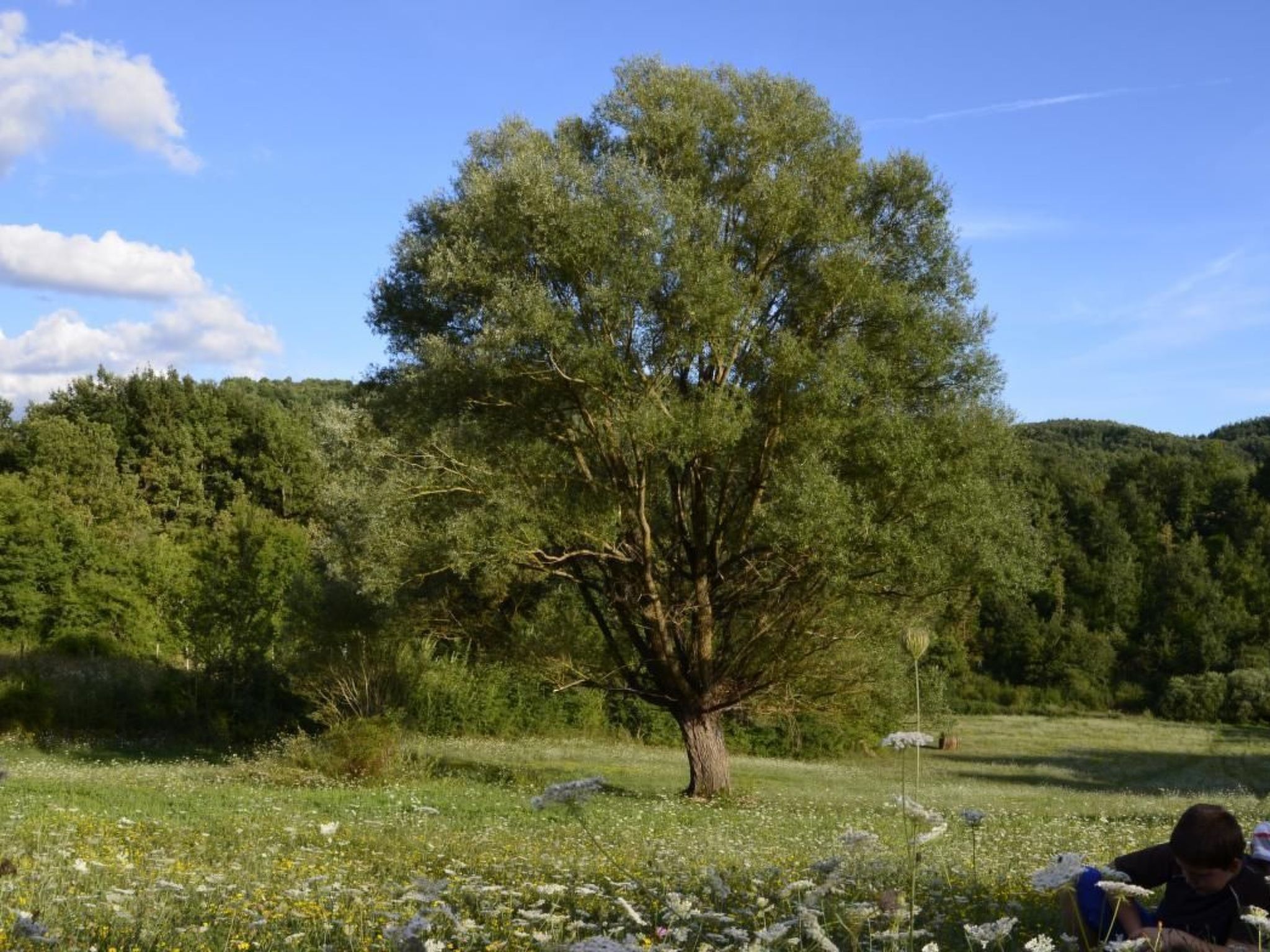 Unabhängige Wohnung, mitten im Grünen des Berges und des Sees, 80 km von Ost-Ro - Image-tags.info