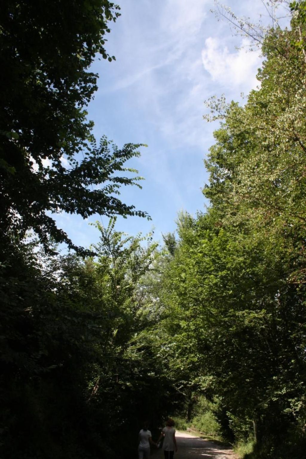 Unabhängige Wohnung, mitten im Grünen des Berges und des Sees, 80 km von Ost-Ro - Image-tags.info