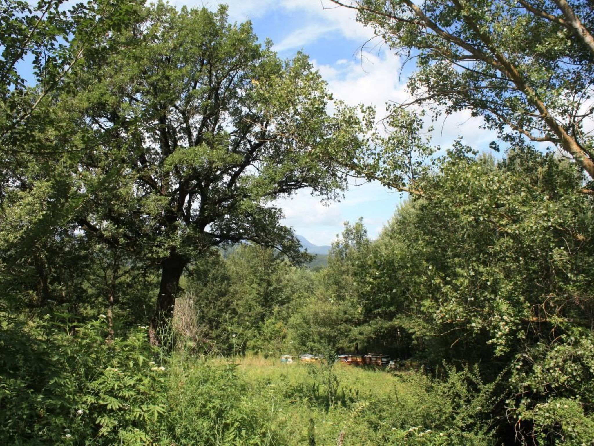 Unabhängige Wohnung, mitten im Grünen des Berges und des Sees, 80 km von Ost-Ro - Image-tags.info