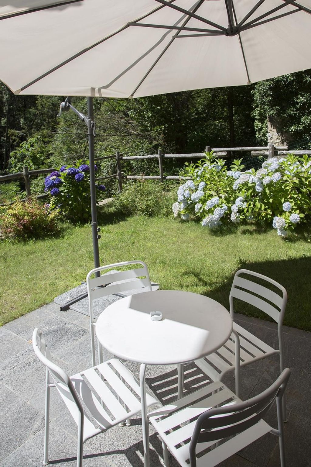 Lampone in San Bernardino Verbano-Binnen