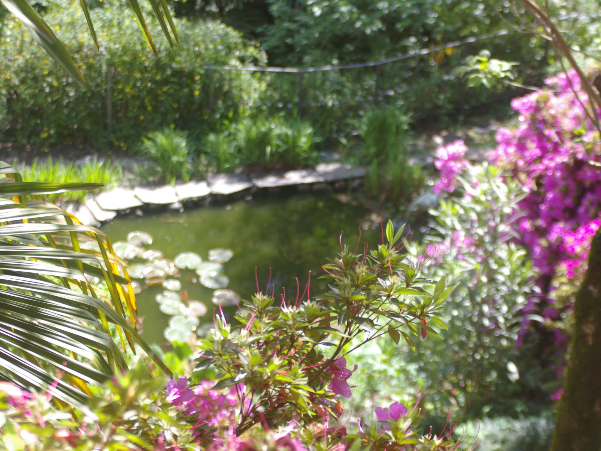 Vecchia Scuderia-Binnen