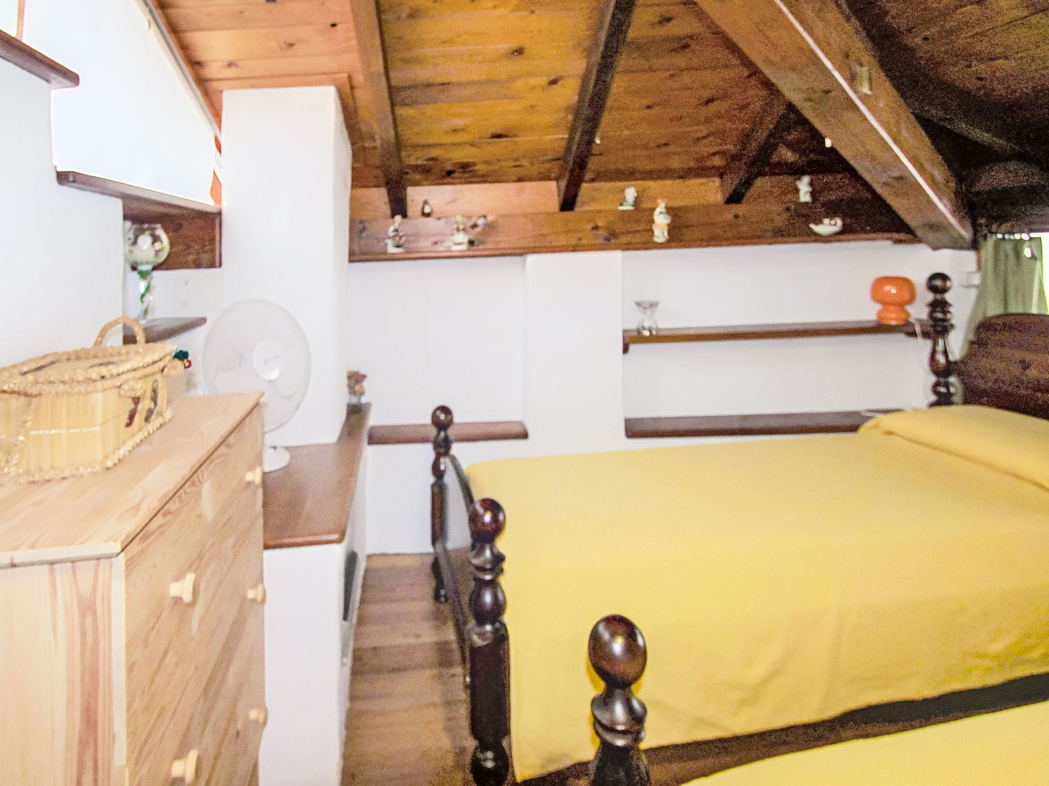 Photo of Caa de Sass