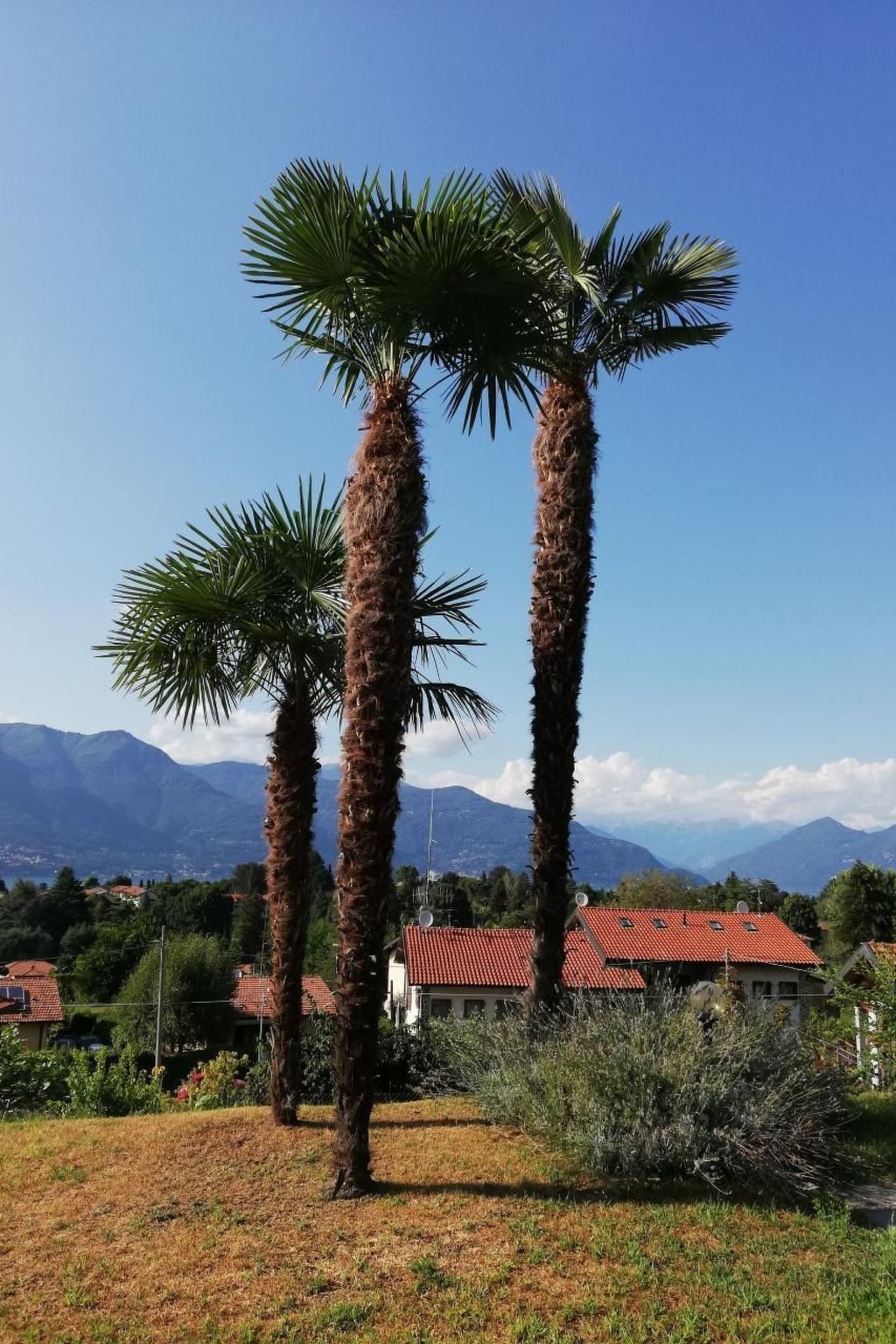 Photo of Residenz Nasca