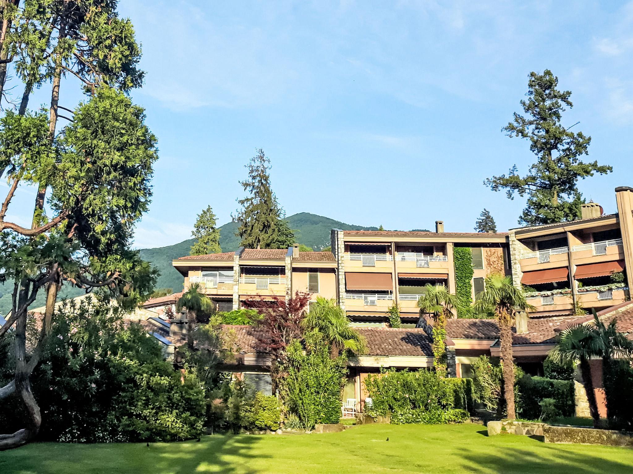 Photo of Villa Camelia