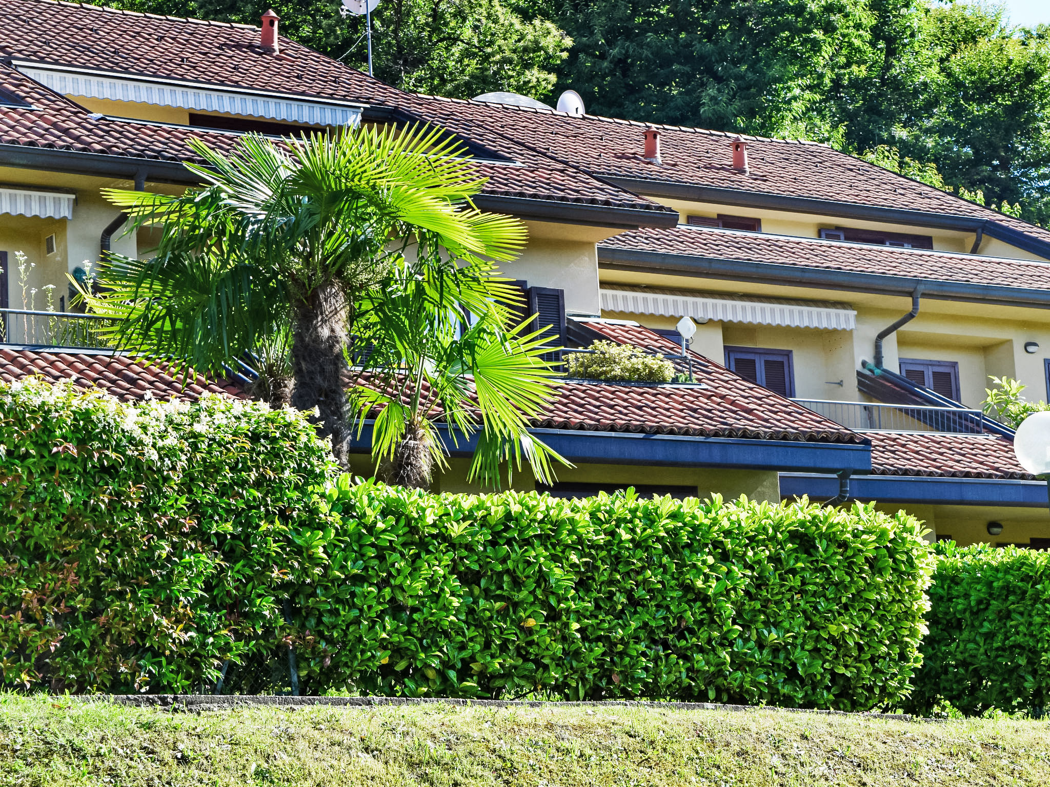 Photo of La Romantica