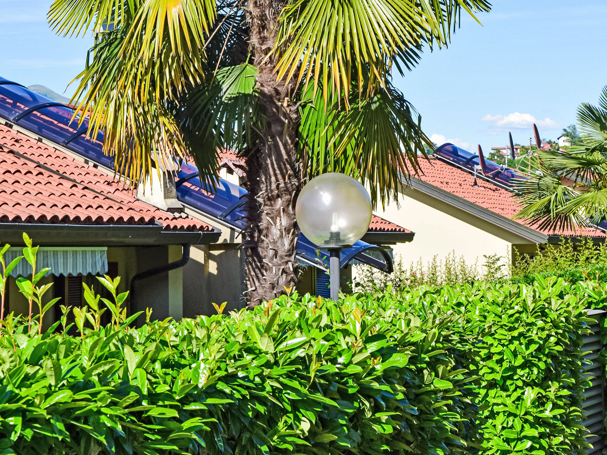 Photo of La Romantica