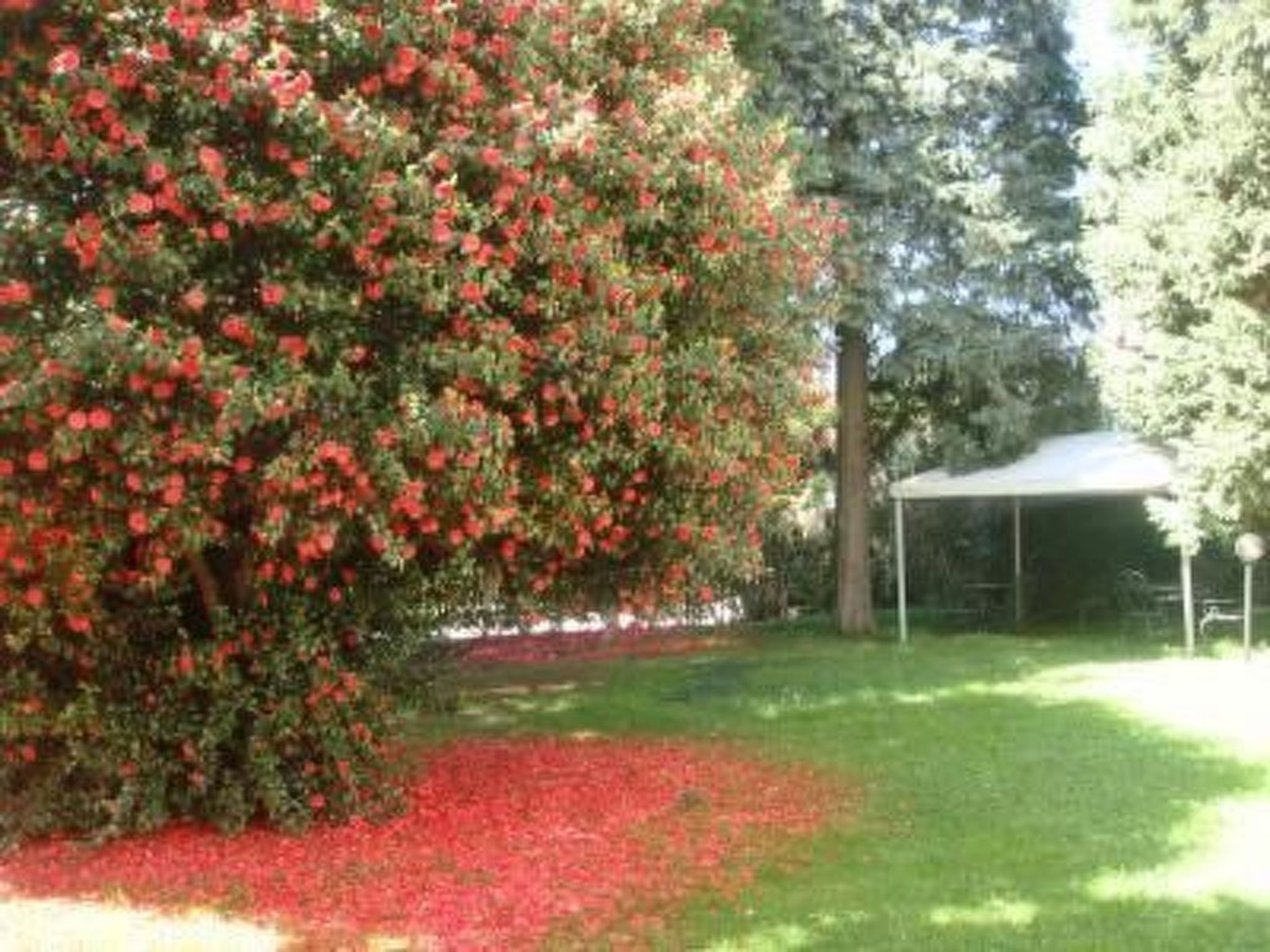 Photo of Fuer 7 Personen  3 Schlafzimmer in der Nähe von
