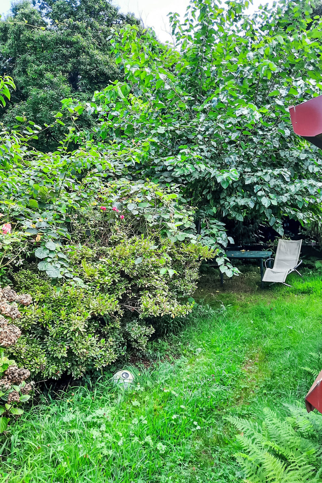 Photo of Brezzo di Bedero