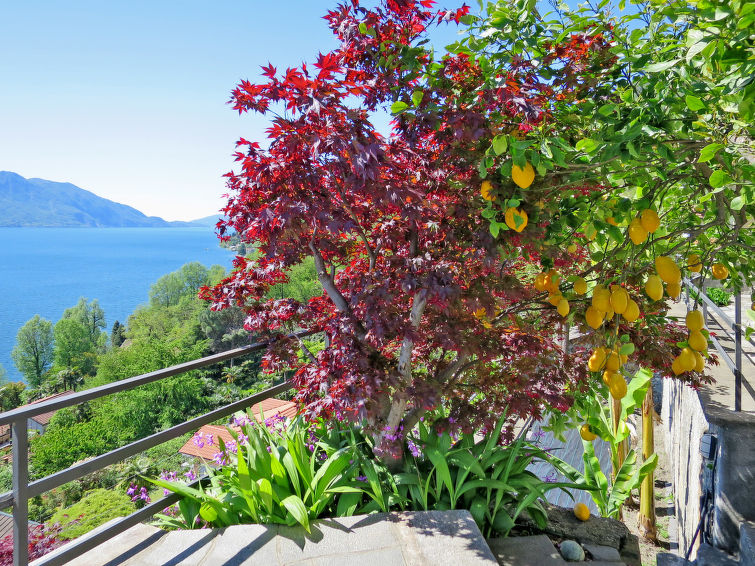 Search and Stay destination Cannero Riviera, Piemonte - Italy from AU$ 163. della Nonna