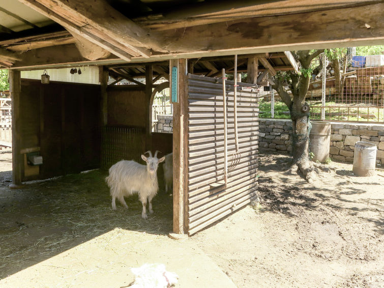 Photo of Les Maisons della Fattoria 1