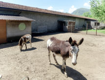Ferienwohnung Les Maisons della Fattoria
