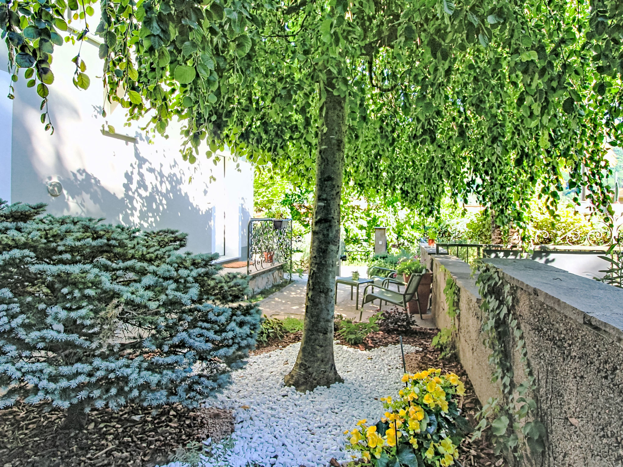 Photo of Boscolago