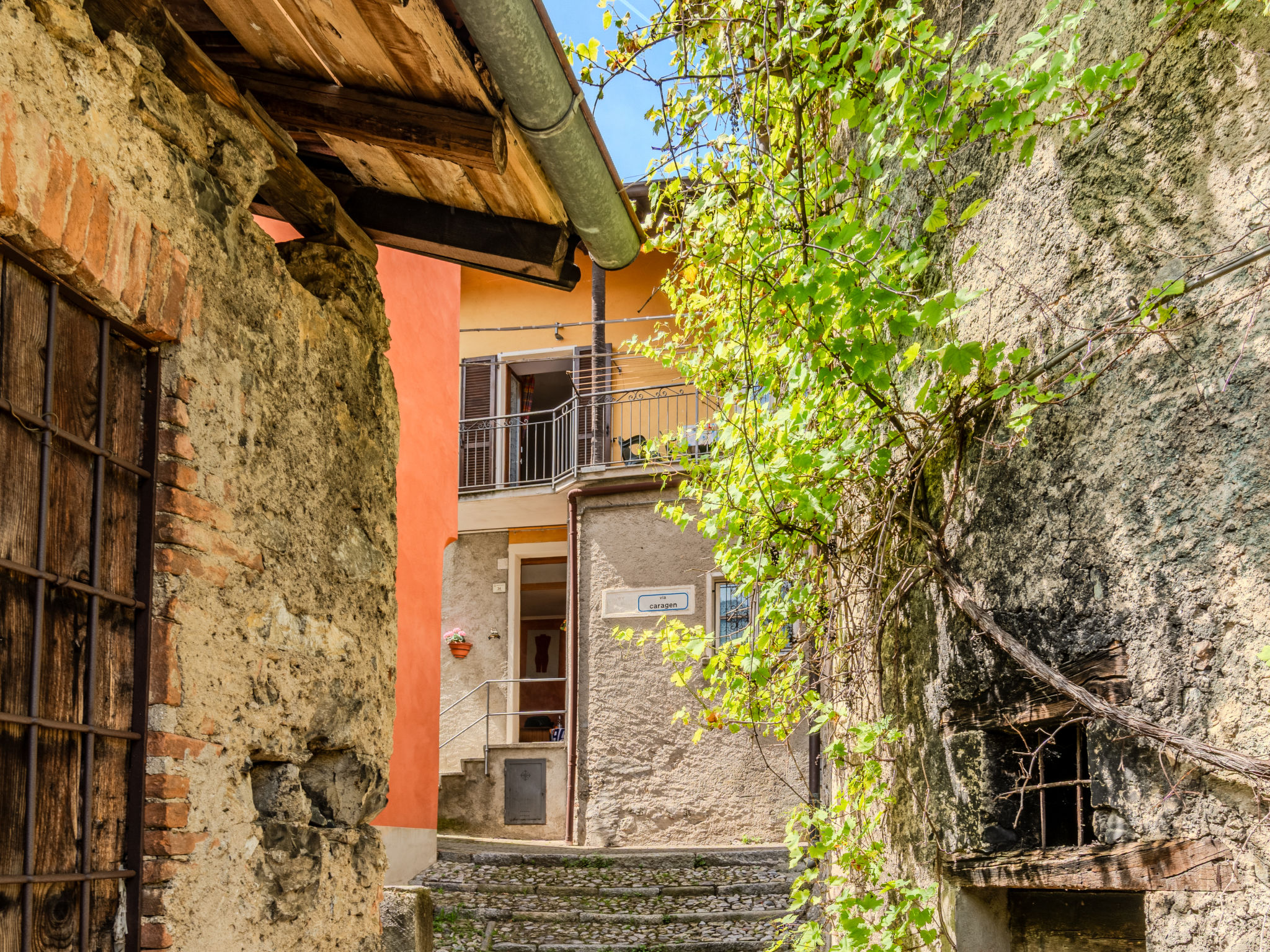 Torchio-Dehors