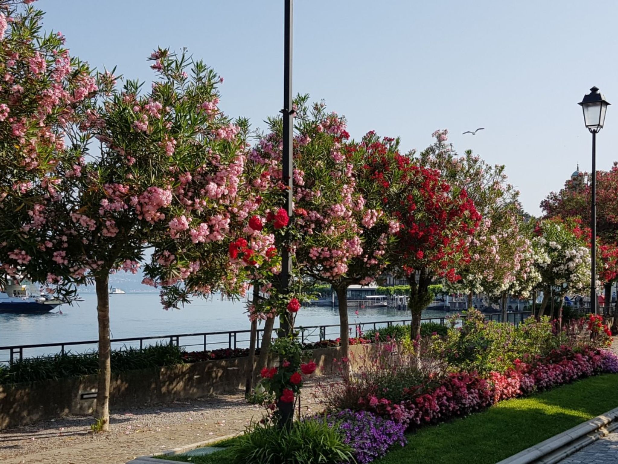 Photo of Ein-Zimmer-Wohnung 'Casa Valery' mit Wasserblick