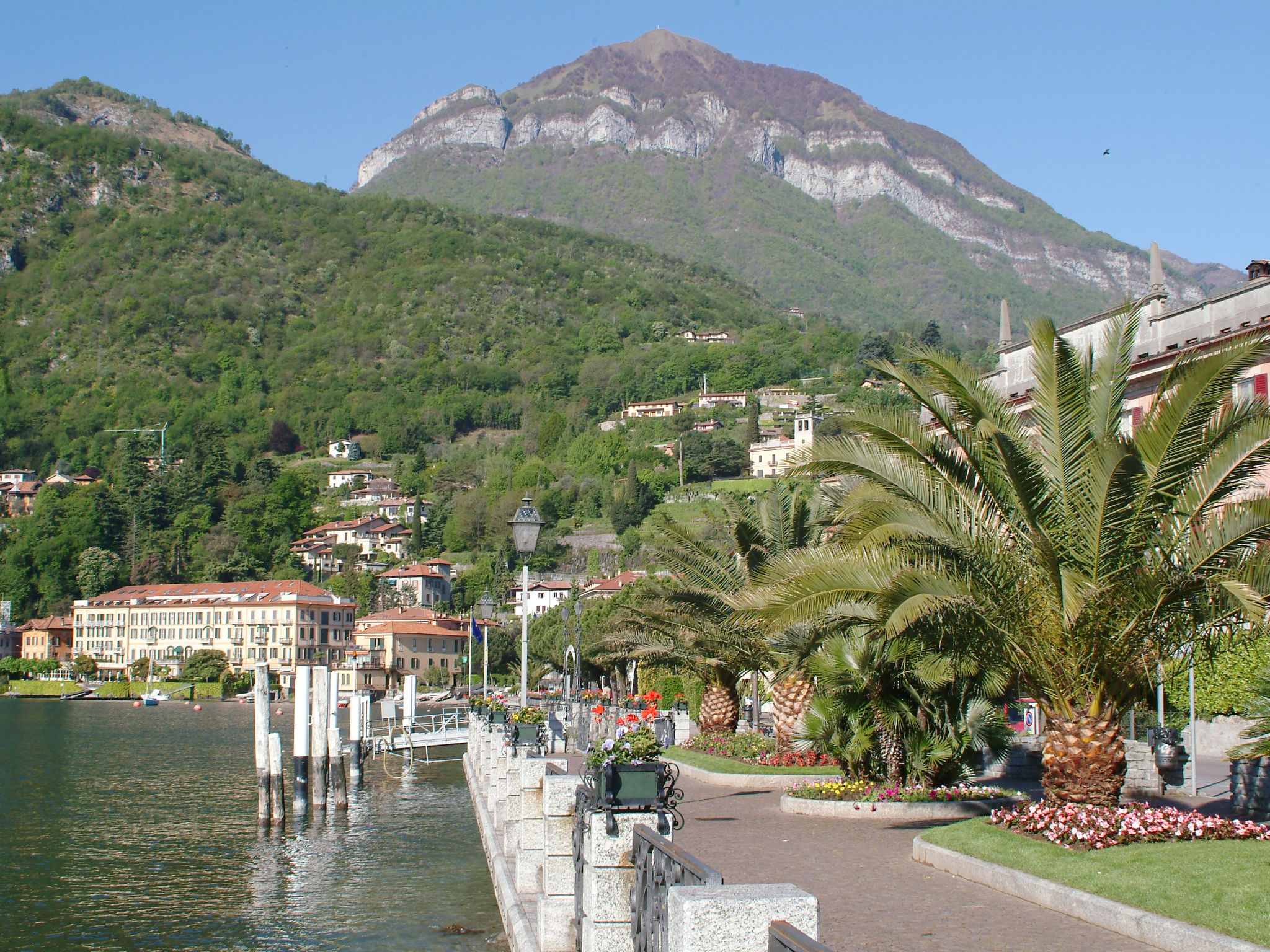 The Greenhouse - Omgeving