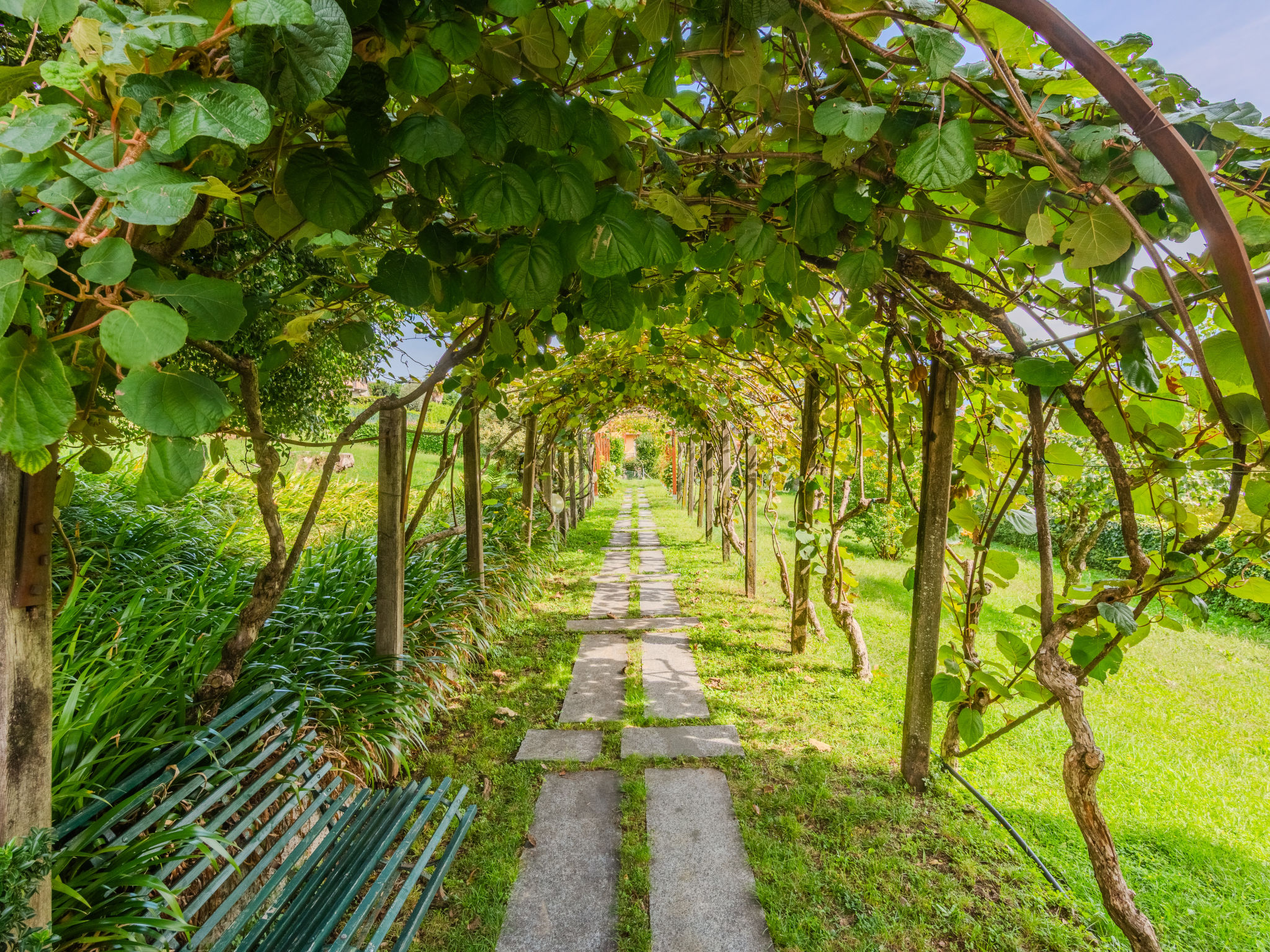 Pergola - Dehors